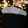 Exclusive silver crown - headband made of cubic zirconiaHair clips