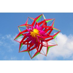 3D Blume Form Kite mit Griff und Linie - 150 cm Durchmesser