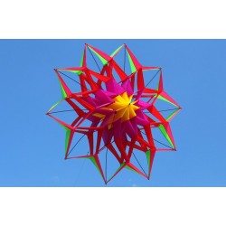 3D flower shape kite with handle and line - 150 cm diameterKites