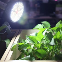 30W - 50W - 80W -100W - 120W - E27 - LED plant grow light - full spectrumGrow Lights