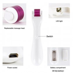 Elektrische Mikronadel mit LED - Titan Derma Rolle - Anti-Falten - Verjüngung Gesicht / Körper Massager