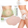 30 Tage - 3pc - schnelle Schlankheit - Bauch Patch - Gewichtsverlust