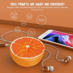 Mini Bluetooth speaker - wireless - with lanyard - fruit shapeBluetooth speakers