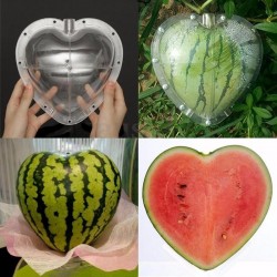 Quadrat - Herzform - Wassermelone Shaping - Mold
