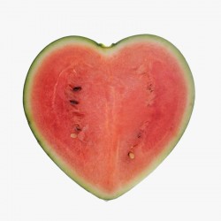 Square - Heart Shape - Watermelon Shaping - MoldKitchen