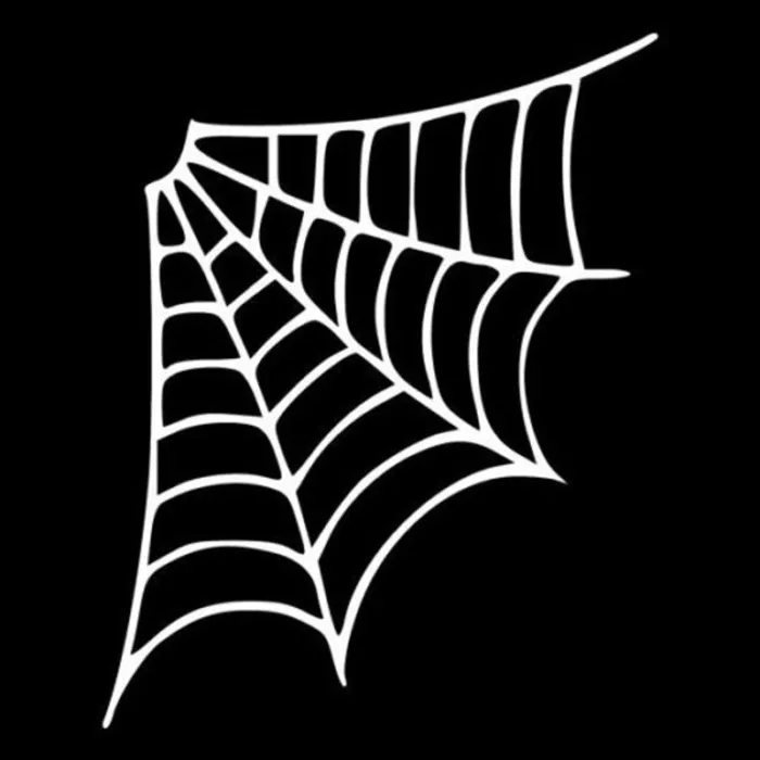 Spider web - car stickerStickers