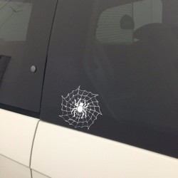 Spider on a spider web - car stickerStickers