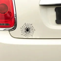 Spider auf einem Spinnennetz - Autoaufkleber