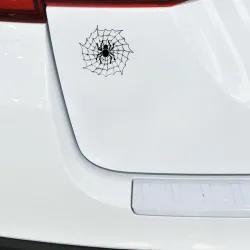 Spider auf einem Spinnennetz - Autoaufkleber
