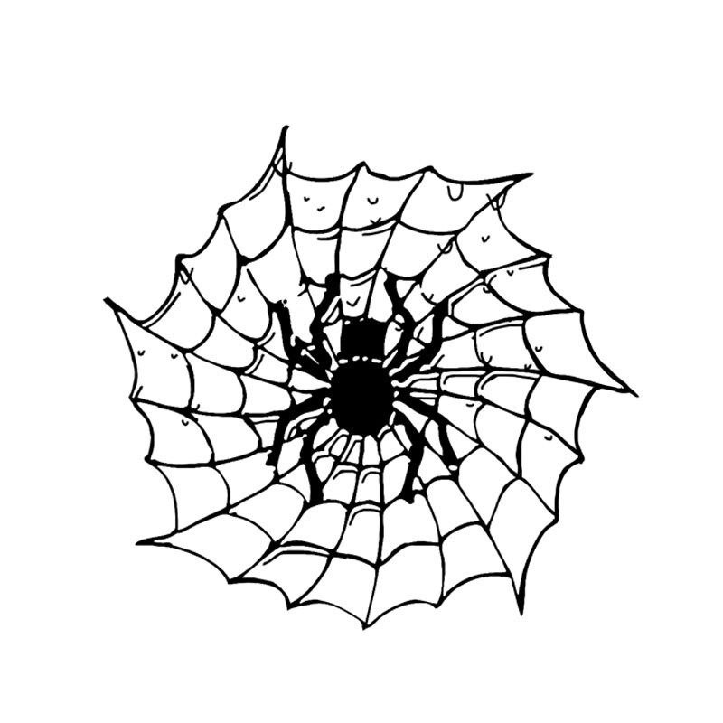 Spider on a spider web - car stickerStickers