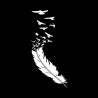 Feather with flying birds - vinyl car stickerStickers