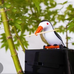 Automatische Zahnstocher-Container - bunte Vogel