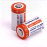 2 Stück Cr2 200mAh Akku - mit Cr2 / CR123A Universal Smart Charger