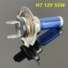 Auto-Halogenlampe - superweiß - H1 / H3 / H4 / H7 / H8 - 55W / 100W