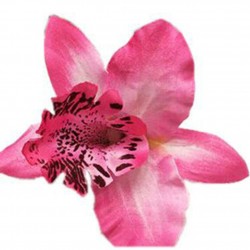 Modische Haarspange - Handarbeit - Blumenorchidee