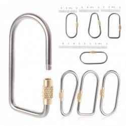Titanium alloy carabiner - keychain - with lock buckle - camping / hikingKeyrings