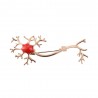 Medical neuron gene - with red stone - broochBrooches