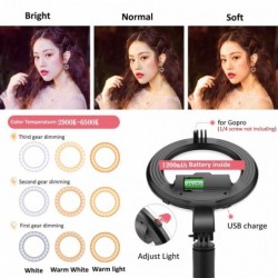4 in 1 Selfie-Stick - LED-Ringlicht - kabellos - Bluetooth - Mini-Handstativ - mit Fernbedienung