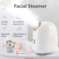 Gesichtsdampfgerät - Home SPA - Hautfeuchtigkeit - Spray / Nebel