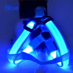 Hundegeschirr - LED - blinkende / leuchtende Lichter - Nachtsicherheit