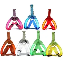 Hundegeschirr - LED - blinkende / leuchtende Lichter - Nachtsicherheit