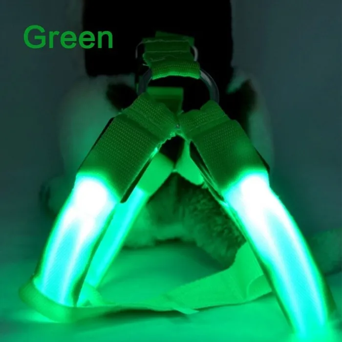Hundegeschirr - LED - blinkende / leuchtende Lichter - Nachtsicherheit