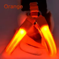 Hundegeschirr - LED - blinkende / leuchtende Lichter - Nachtsicherheit