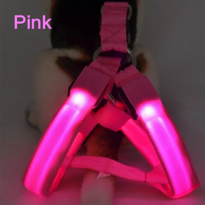 Hundegeschirr - LED - blinkende / leuchtende Lichter - Nachtsicherheit