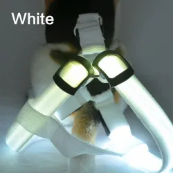 Hundegeschirr - LED - blinkende / leuchtende Lichter - Nachtsicherheit