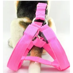 Hundegeschirr - LED - blinkende / leuchtende Lichter - Nachtsicherheit