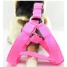 Hundegeschirr - LED - blinkende / leuchtende Lichter - Nachtsicherheit