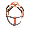 Hundegeschirr - reflektierendes Nylon - verstellbar