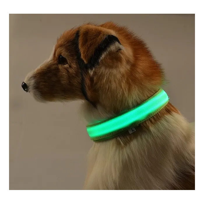 LED dog collar - luminous / flashing - safety night walkCollars & Leads