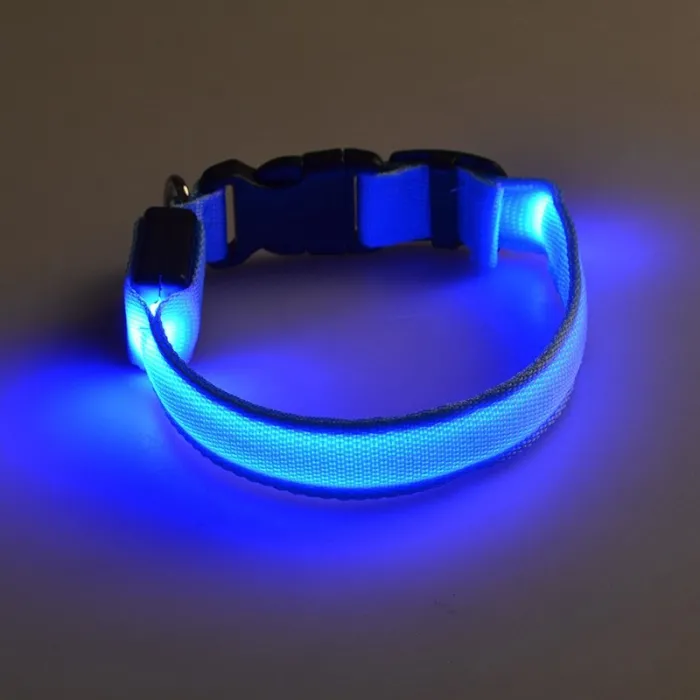 LED-Hundehalsband - leuchtend / blinkend - Sicherheits-Nachtspaziergang