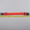 LED-Hundehalsband - leuchtend / blinkend - Sicherheits-Nachtspaziergang