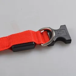 LED-Hundehalsband - leuchtend / blinkend - Sicherheits-Nachtspaziergang