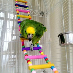 Bunte Holzzugbrücke - Spielzeug für Vögel / Papageien
