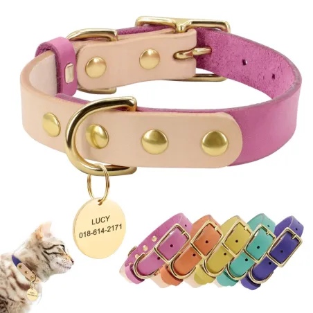 Lederhalsband - für Hunde / Katzen - personalisierter Kosename - Telefonnummer - ID-Tag