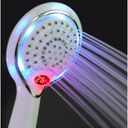 LED handheld shower head - with temperature digital displayShower Heads