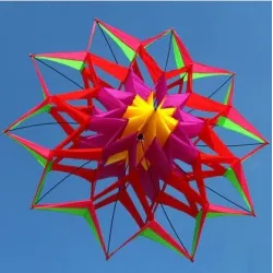 Sports / beach kite - 3D flower - with handle / lineKites