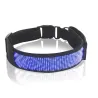 Cats / dogs collar - LED - Bluetooth - digital interactive scrolling lightCollar & Leads