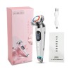 Electric face massager - skin rejuvenation - lifting - wrinkle removal - mesotherapy - electroporation - LEDSkin