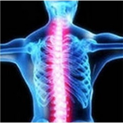 Orthopädischer Rückenstützgürtel - Haltungskorrektur - Rückenkorrektor mit Magneten