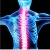 Orthopädischer Rückenstützgürtel - Haltungskorrektur - Rückenkorrektor mit Magneten