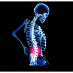 Orthopädischer Rückenstützgürtel - Haltungskorrektur - Rückenkorrektor mit Magneten