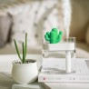 Transparent ultrasonic air humidifier - essential oils diffuser - cactus - LED - USB - 160 mlHumidifiers