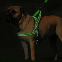 Reflektierendes Hundegeschirr aus Nylon – Weste – schnelle Passform