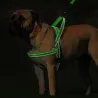 Reflektierendes Hundegeschirr aus Nylon – Weste – schnelle Passform