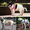 Reflektierendes Hundegeschirr aus Nylon – Weste – schnelle Passform