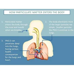 Protective face / mouth face mask - anti-dust - anti-pollution - with air valve - reusableMouth masks